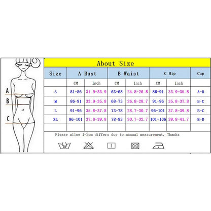 Push Up Bikinis Sexy Women Brazilian Beachwear